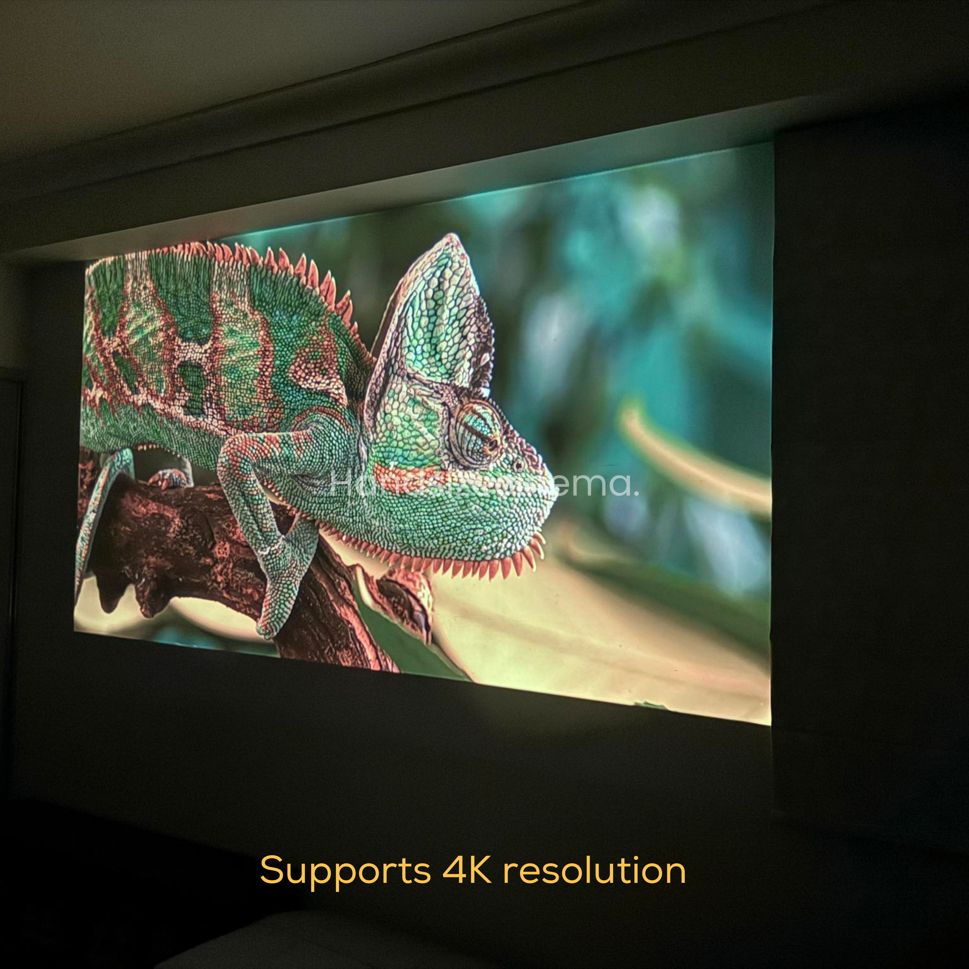 4K Smart Projector